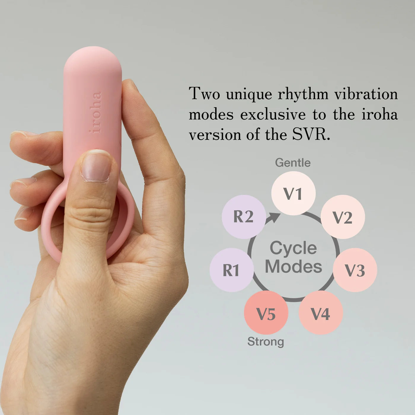 iroha SVR (Copia)