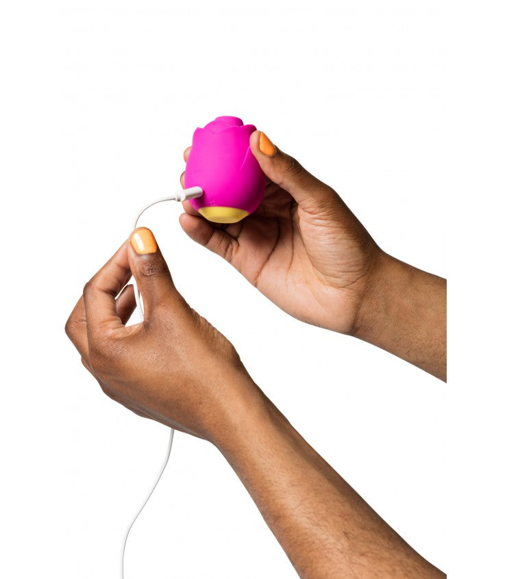ROMP SUCTION ROSE