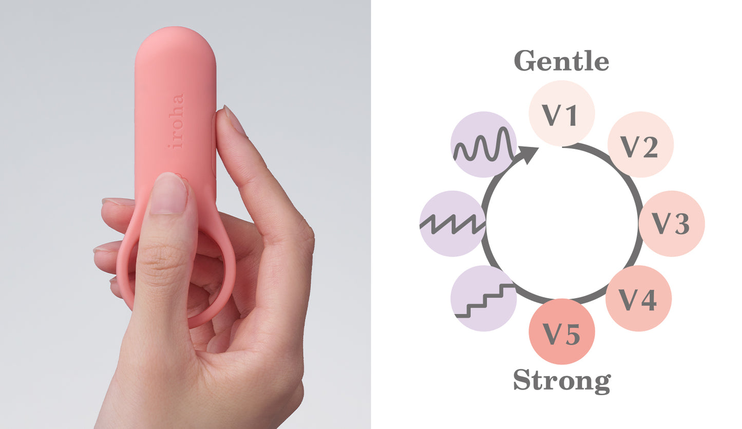 IROHA SVR+,