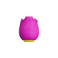 ROMP SUCTION ROSE