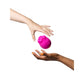 ROMP SUCTION ROSE